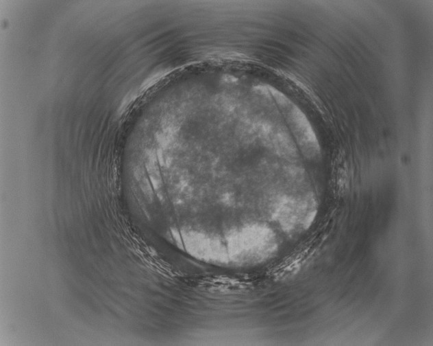 X0000060550919200512011612