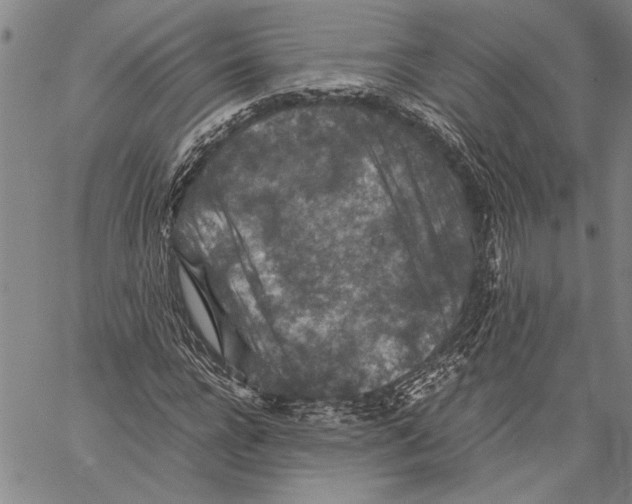 X0000060550920200512011612