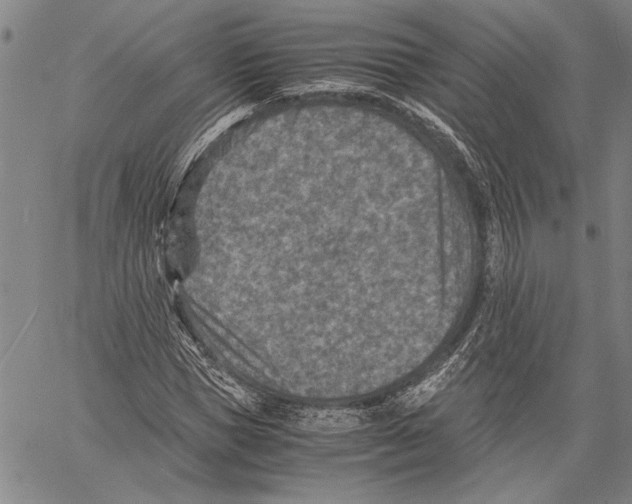 X0000060550921200512011612