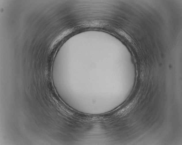 X0000060550922200512011612