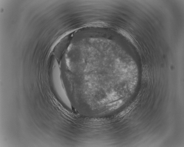 X0000060550923200512011612