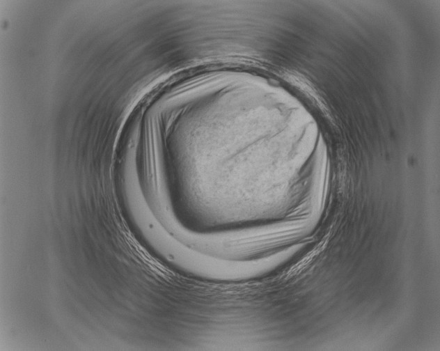 X0000060550924200512011612