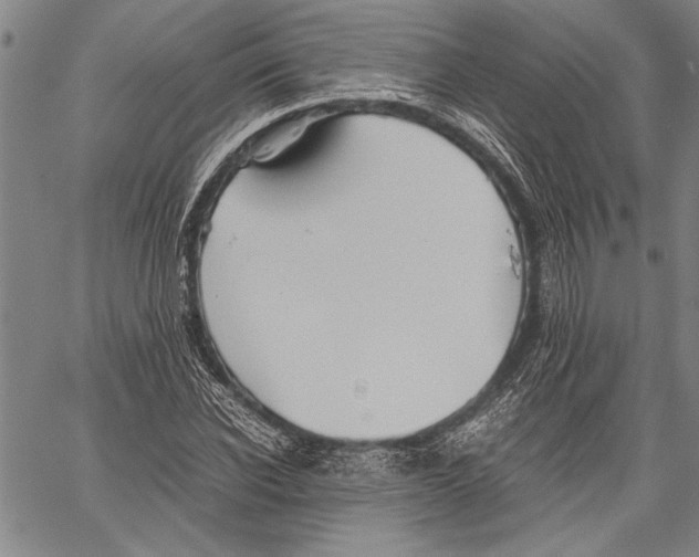 X0000060550926200512011612