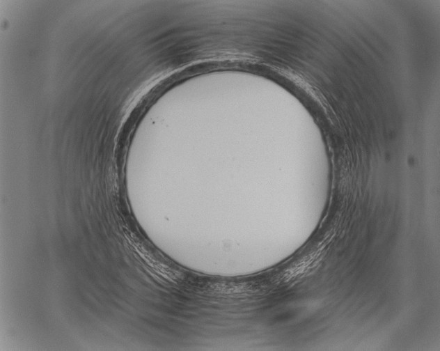 X0000060550927200512011612