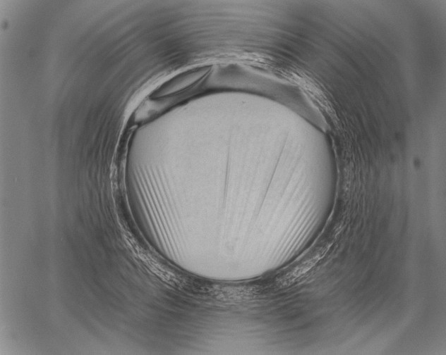 X0000060550928200512011612