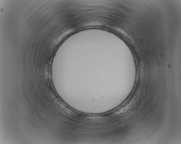 X0000060550929200512011612