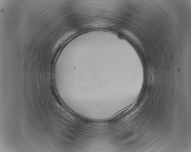 X0000060550930200512011612