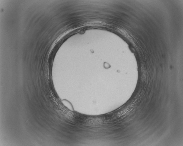 X0000060550931200512011612