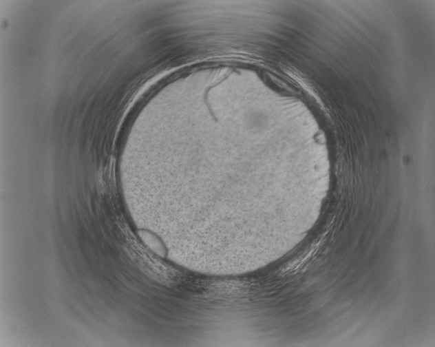 X0000060550932200512011612