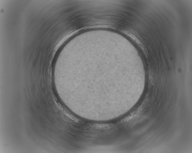 X0000060550933200512011612