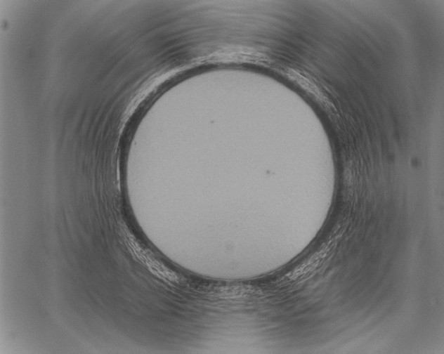 X0000060550934200512011612