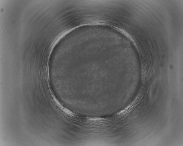 X0000060550935200512011612