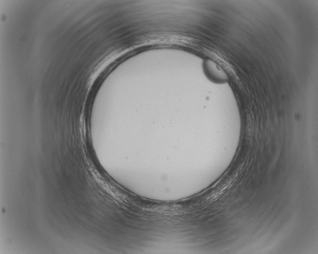 X0000060550936200512011612