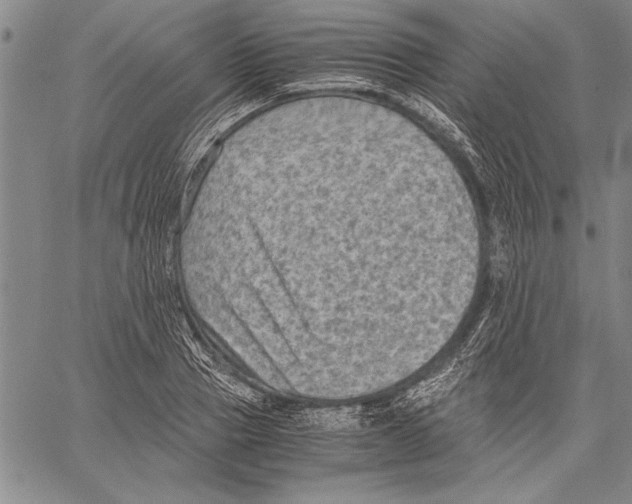 X0000060550937200512011613