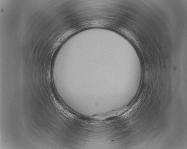 X0000060550938200512011613