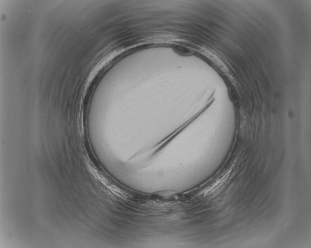 X0000060550939200512011613