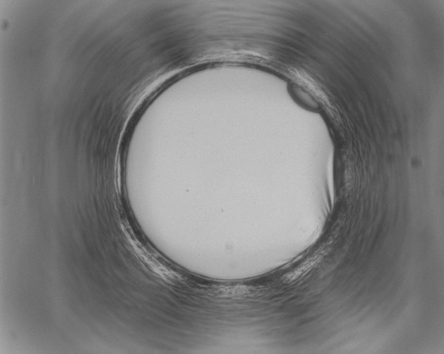 X0000060550940200512011613