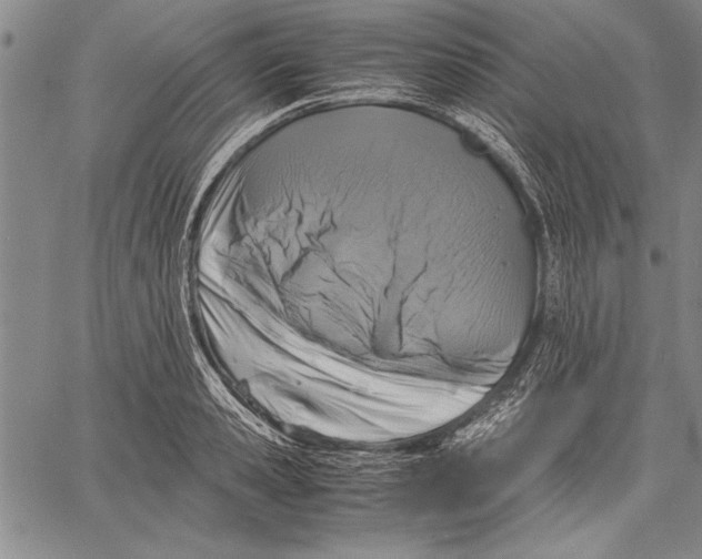 X0000060550941200512011613