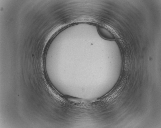 X0000060550942200512011613