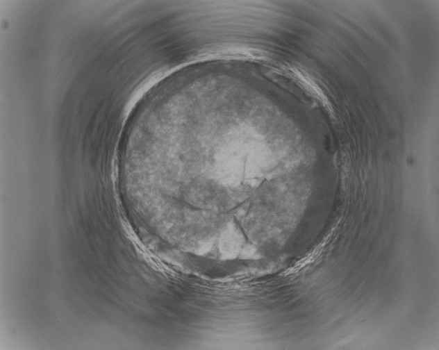 X0000060550944200512011613