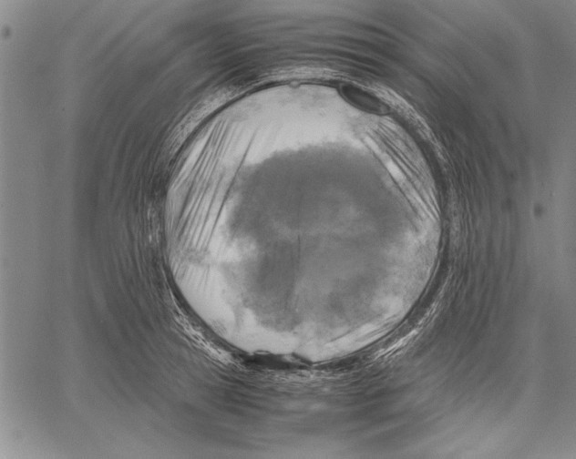 X0000060550945200512011613