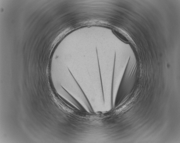 X0000060550946200512011613