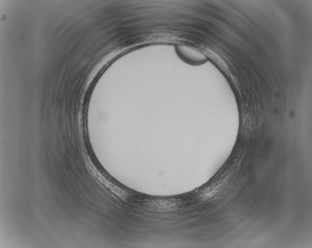 X0000060550947200512011613