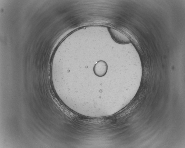 X0000060550948200512011613