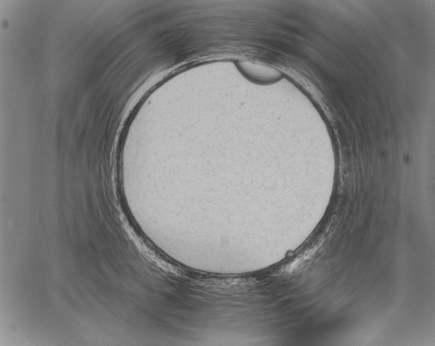 X0000060550949200512011613