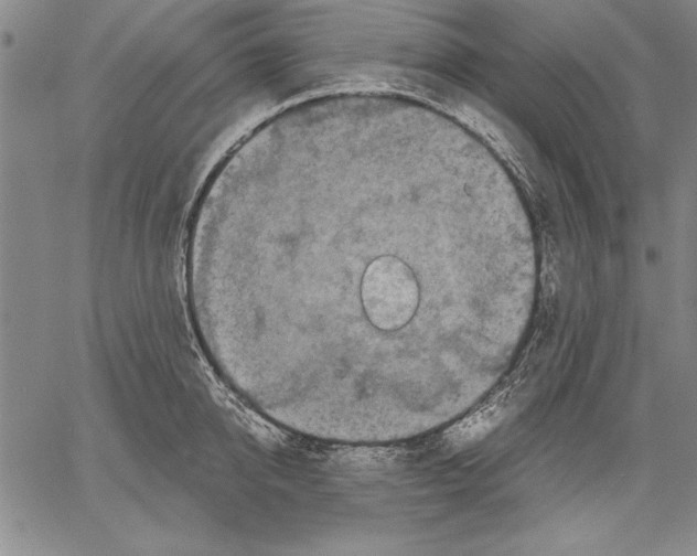 X0000060550950200512011613