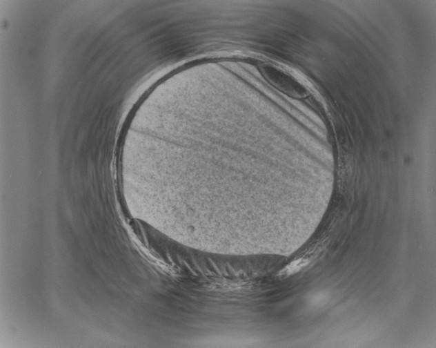 X0000060550951200512011613