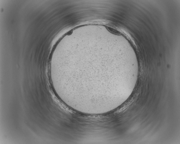 X0000060550952200512011613