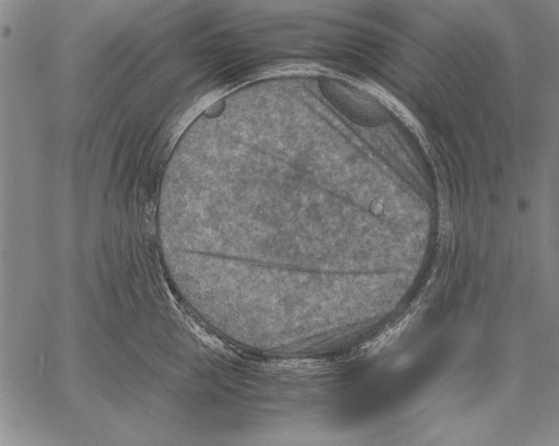 X0000060550953200512011613