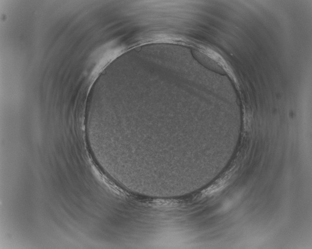 X0000060550954200512011613