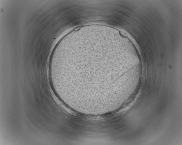 X0000060550957200512011613