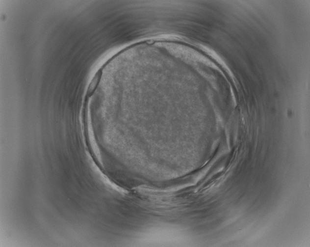 X0000060550959200512011613