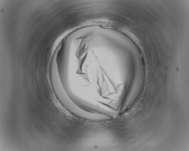 X0000060550960200512011613