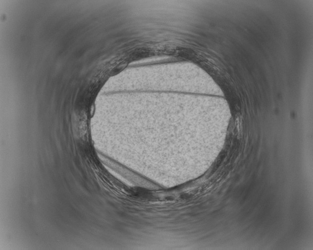 X0000060550963200512011612