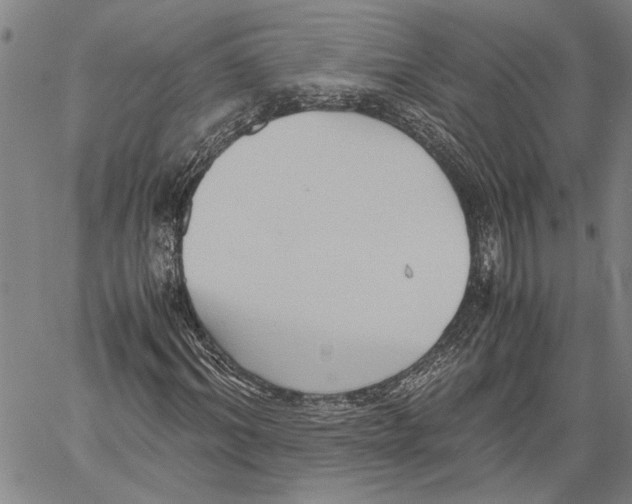 X0000060550964200512011612