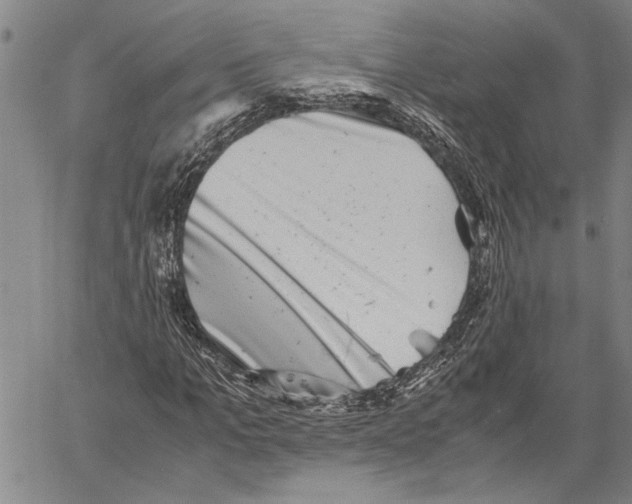 X0000060550965200512011612