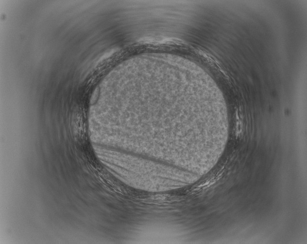 X0000060550966200512011612