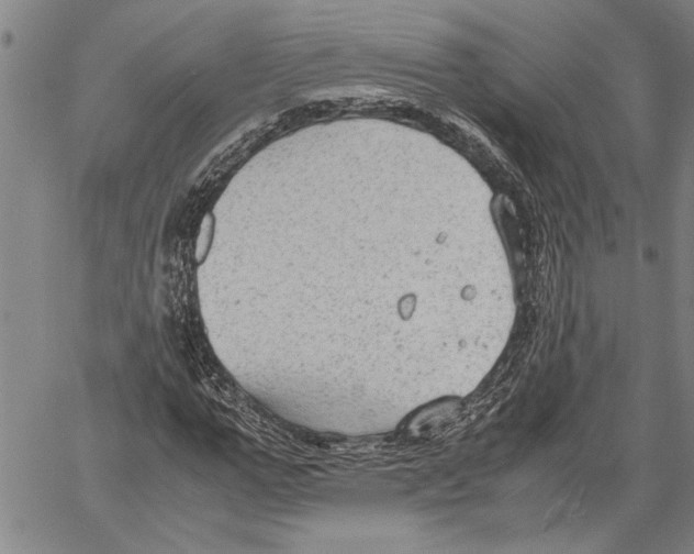 X0000060550967200512011612