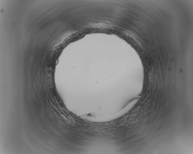 X0000060550968200512011612