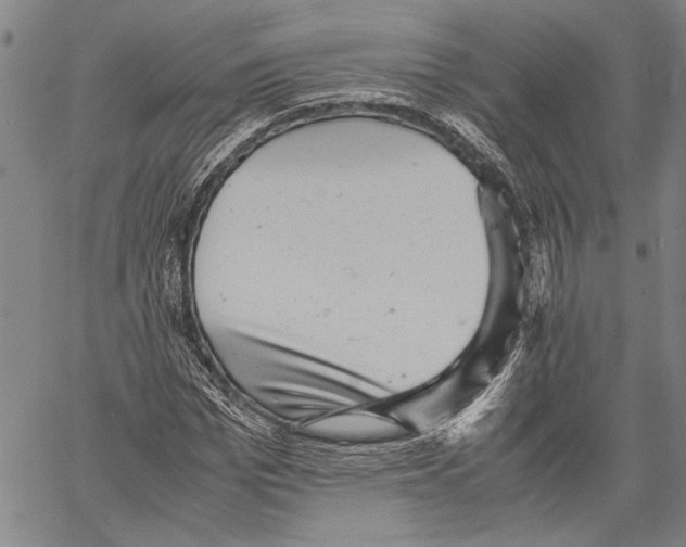 X0000060550969200512011612