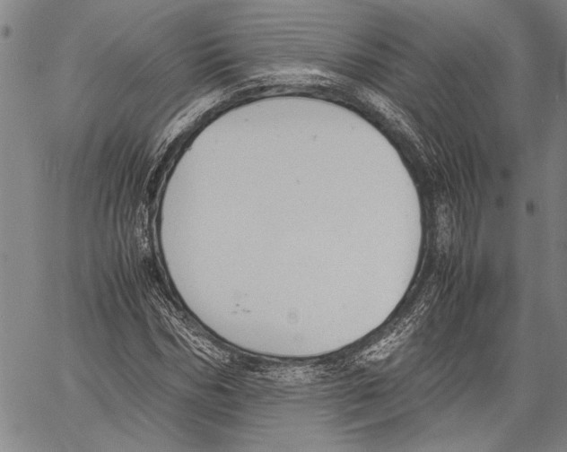 X0000060550970200512011612