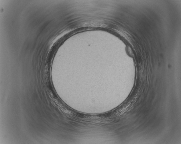 X0000060550971200512011612