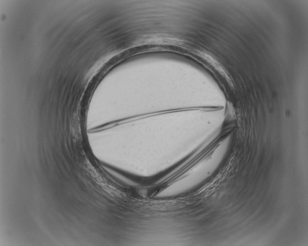 X0000060550972200512011612