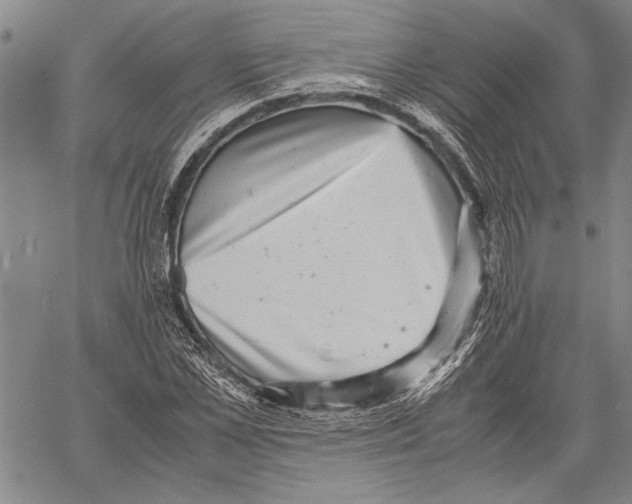 X0000060550973200512011612