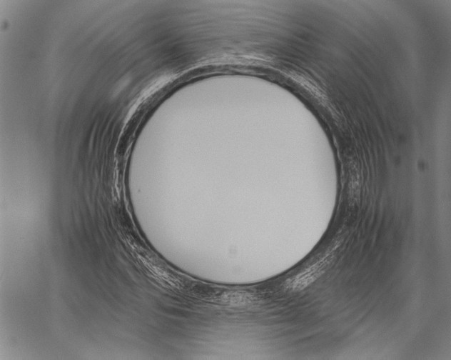 X0000060550974200512011612