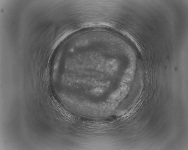 X0000060550975200512011612